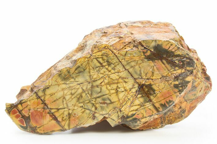 Polished Cherry Creek Jasper - China #318958
